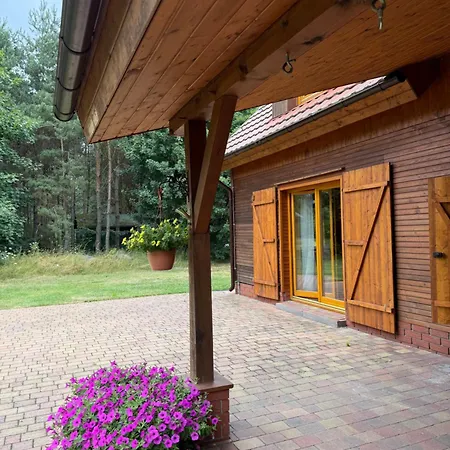 Boguszynek Boguszynek